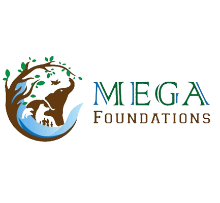 MEGA Foundations