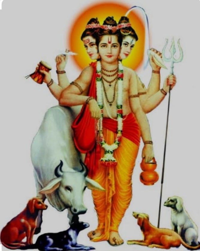 Kai.Dippa S Rathod Bahuu Sevabhavi Sanstha Sanchalit SHRI DATTA GOSHALA 