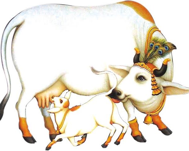 SHANKARRAO TAMBILE BAHUUDDESHIYA VIKAS SANSTHA WADNER